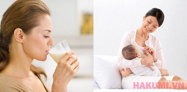 Sữa cho mẹ sau sinh 1